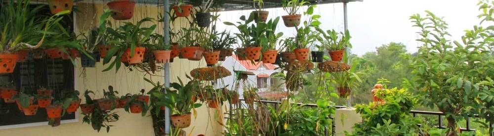 Leaf Homestay Hội An Buitenkant foto