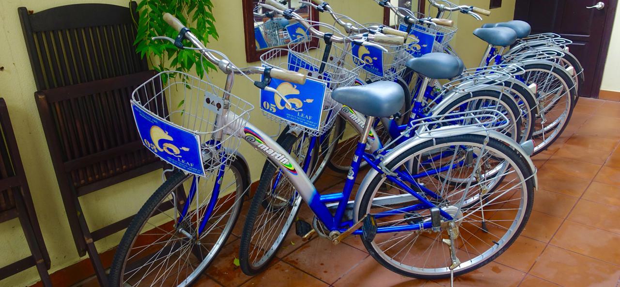 Leaf Homestay Hội An Buitenkant foto
