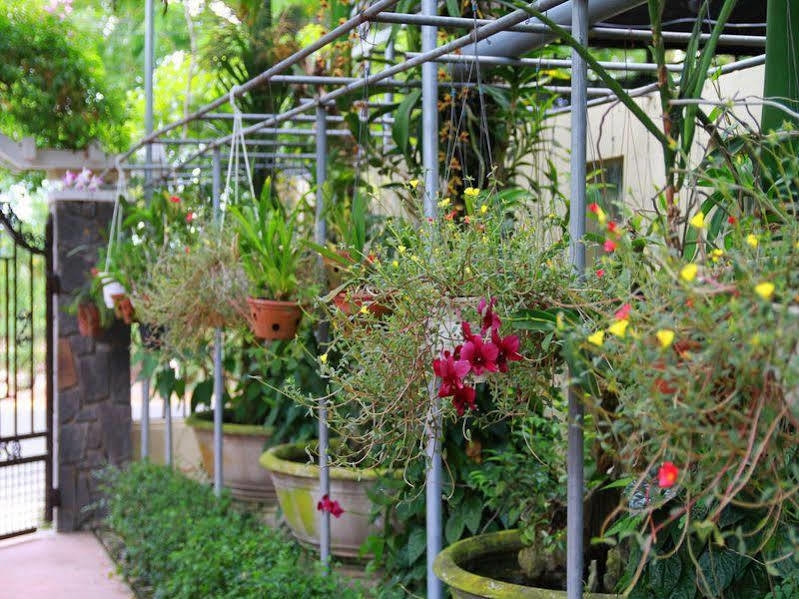 Leaf Homestay Hội An Buitenkant foto
