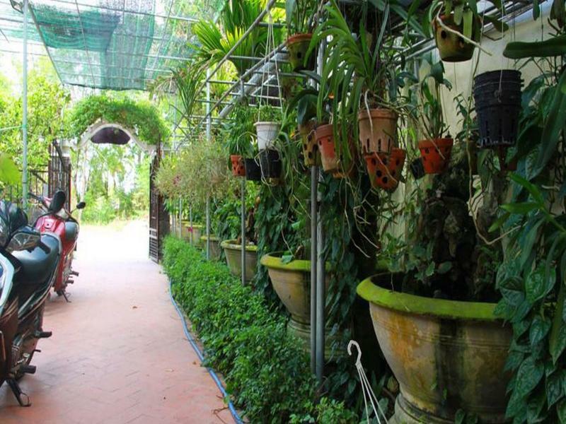 Leaf Homestay Hội An Buitenkant foto