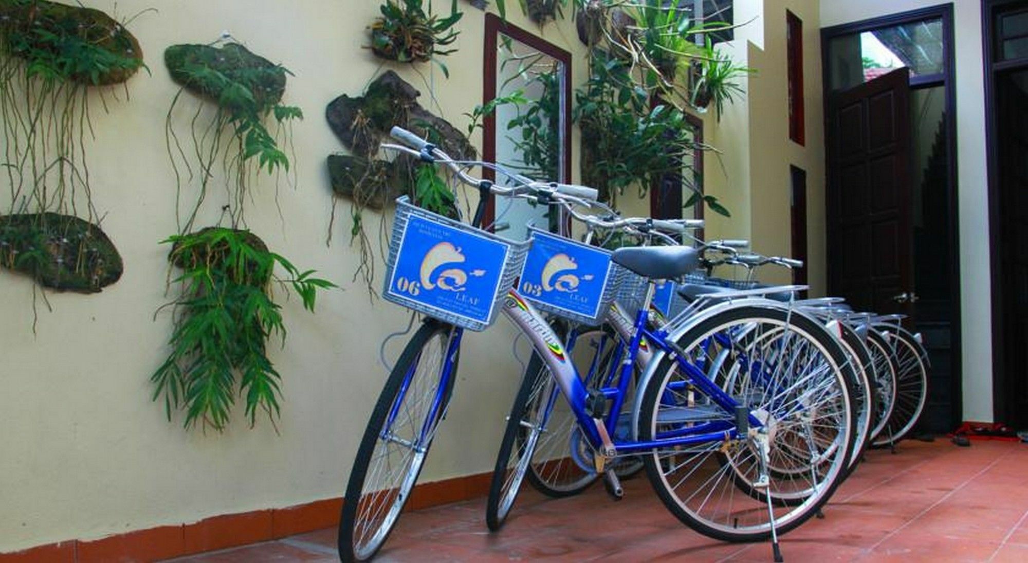 Leaf Homestay Hội An Buitenkant foto